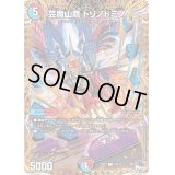 〔状態B〕芸魔山鷹トリノドミノ【C】{23RP322B/22}《多》