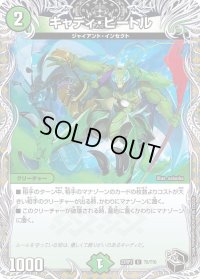 〔状態B〕キャディ・ビートル【U】{23RP3T5/T10}《自然》