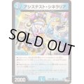 〔状態B〕アシステスト・シネラリア【U】{23RP430/74}《水》