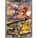 〔状態B〕星門の精霊アケルナル/スターゲイズ・ゲート【VR】{23RP4TR7/TR9}《光》