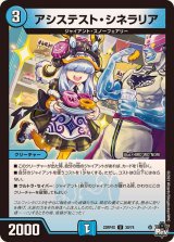 〔状態B〕アシステスト・シネラリア【U】{23RP4X30/74}《水》