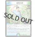 〔状態B〕探究の絆【R】{24EX4PR16/PR60}《多》