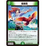 極楽鳥【R】{24EX4PR8/PR60}《自然》
