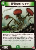 貪食ハエトリグサ【U】{24RP147/75}《自然》