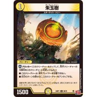 朱玉樹【C】{24RP156/75}《光》