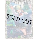 〔状態B〕龍の呼び声【R】{24RP1TD3/TD3}《自然》