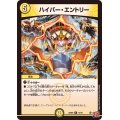 ハイパー・エントリー【R】{24RP213/75}《光》