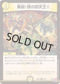 集結！夜の四天王!!【C】{24RP255/75}《光》
