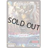 〔状態B〕超光喜エルボロム【VR】{24RP26/75}《多》