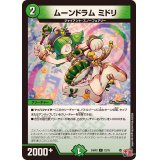ムーンドラムミドリ【C】{24RP272/75}《自然》