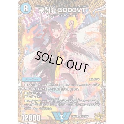 画像1: 〔状態B〕飛翔龍5000VT【VIC】{24RP2SP1/SP5}《水》