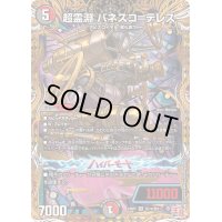 〔状態A-〕超霊淵パネスコ＝テレス【VR】{24RP2秘10/秘21}《多》
