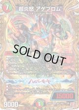 〔状態B〕超炎怒アゲブロム【VR】{24RP2秘11/秘21}《多》
