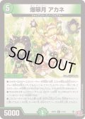 爆翠月アカネ【R】{24RP421/76}《自然》