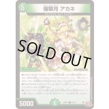 爆翠月アカネ【R】{24RP421/76}《自然》