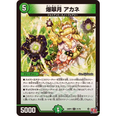 爆翠月アカネ【R】{24RP421/76}《自然》