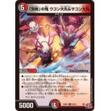「双斬」の鬼ウコン大丸＆サコン大丸【R】{24RP426/76}《多》