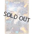 〔状態B〕完全不明【SR】{24RP4SP1/SP5}《水》