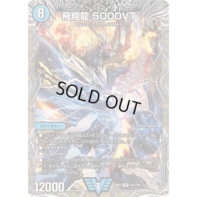 画像1: 〔状態C〕飛翔龍5000VT【VIC】{24RP4TR1/TR9}《水》