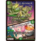 キャベッジ・セッションズ/ソイルピンプ・キャベッジ【R】{25EX147/89}《自然》