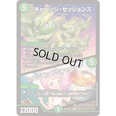 画像1: キャベッジ・セッションズ/ソイルピンプ・キャベッジ【R】{25EX147/89}《自然》