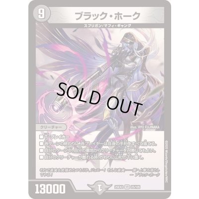 画像1: ブラック・ホーク【VR】{25EX225/105}《闇》