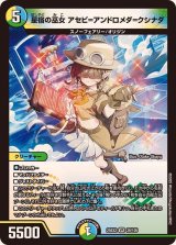 星宿の巫女アセビ=アンドロメダ=クシナダ【VR】{25EX239/105}《多》