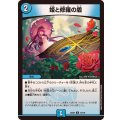 姫と修羅の盾【U】{25EX275/105}《水》