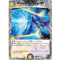 超次元ガード・ホール【R】{25EX4T8/T30}《多》