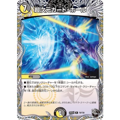 超次元ガード・ホール【R】{25EX4T8/T30}《多》