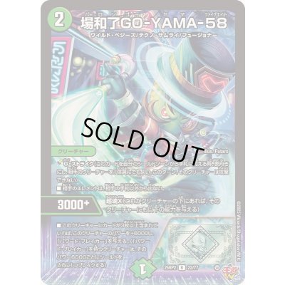 画像1: 場和了GO-YAMA-58【R】{25RP222/77}《自然》