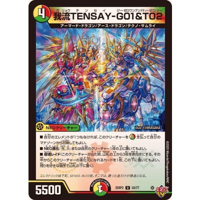 画像1: 我流TENSAY-G01＆T02【U】{25RP250/77}《多》