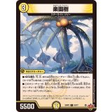 楽園樹【C】{25RP253/77}《光》