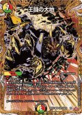 王闘の大地【VR】{25RP2秘15/秘24}《多》