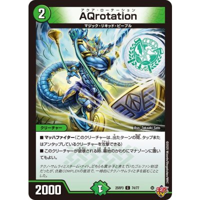 画像1: AQrotation【C】{25RP374/77}《自然》