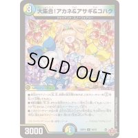 〔状態B〕大集合！アカネ＆アサギ＆コハク【U】{25RP450/78}《多》