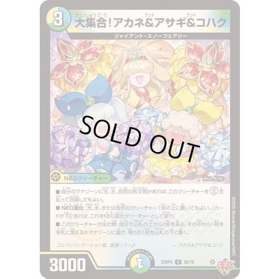 画像1: 〔状態A-〕大集合！アカネ＆アサギ＆コハク【U】{25RP450/78}《多》