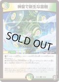 神聖で新生な霊樹【U】{EX1341/84}《多》