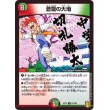 蒼龍の大地【R】{EX1581/100}《多》