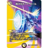 超次元ガード・ホール【R】{EX17超18/超40}《多》