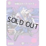 〔状態A-〕凶星王ダーク・ヒドラ【SR】{EX17超3/超40}《闇》