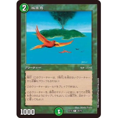 画像1: 〔状態B〕極楽鳥【R】{EX1829/75}《自然》