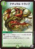 ナチュラル・トラップ【R】{PCD01竜12/17}《自然》