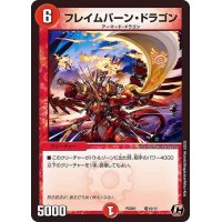 〔状態A-〕フレイムバーン・ドラゴン【C】{PCD01竜15/17}《火》