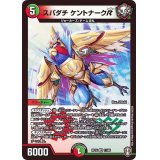 (虹アイコン)スパダチケントナークR【VR】{RP1611/95}《多》