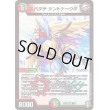 スパダチケントナークR【VR】{RP1611/95}《多》