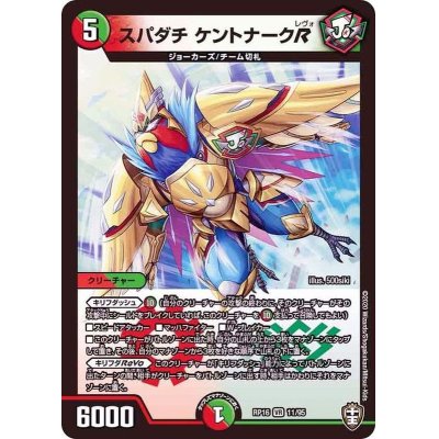 画像1: (虹アイコン)スパダチケントナークR【VR】{RP1611/95}《多》