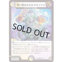 (虹アイコン)病に魅せられたヤミイシャ【R】{RP1621/95}《多》