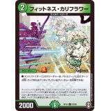 フィットネス・カリフラワー【C】{RP1682/95}《自然》