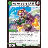 〔状態A-〕(虹アイコン)カチカチジェットT.N.K.【C】{RP1684/95}《自然》